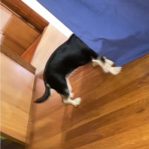 piperwoah